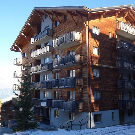 Tasteful With Balcony Apartment Nendaz