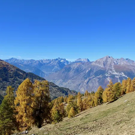 Tasteful With Balcony *