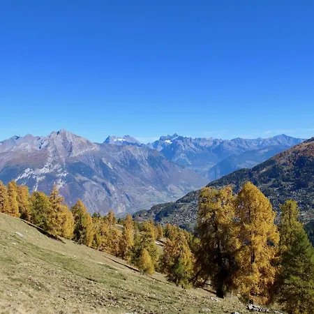 Tasteful With Balcony * Nendaz